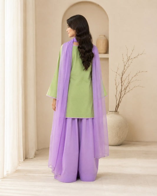 A woman shown from the back wearing a light green kurta with wide legs, matching wide-leg trousers, and a sheer lavender dupatta, set against a warm beige interior background.